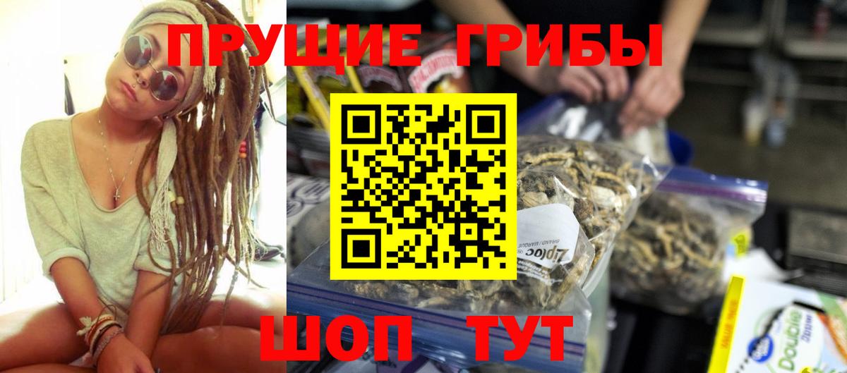Псилоцибиновые грибы GOLDEN TEACHER  купить наркотик  Вход с VPN  Краснокамск  Галлюциногенные грибы MAGIC MUSHROOMS 